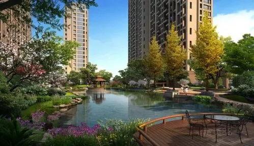 陈先生爆料小区视频大全,小区视频大全背后的真实故事